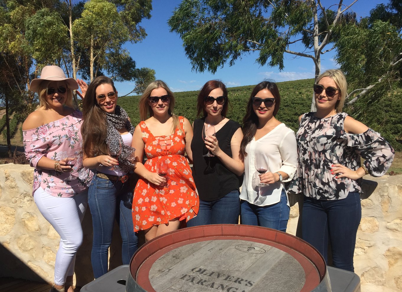 McLaren Vale: Vintur i lille gruppe (inkl. frokost)