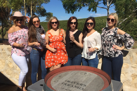 McLaren Vale: Tour per piccoli gruppi (pranzo incluso)