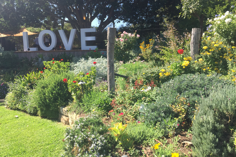 McLaren Vale: Vinresa i liten grupp (inklusive lunch)