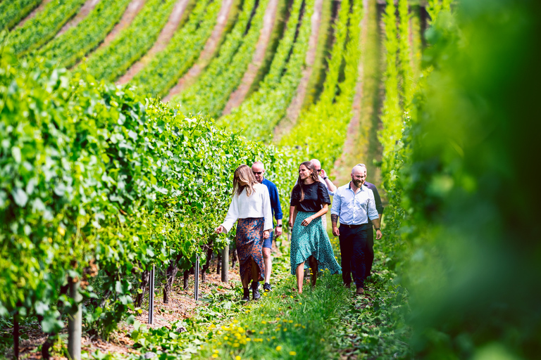 Von Hobart aus: Ganztägige Wein-, Apfelwein-, Bier- und WhiskeytourDrink Tasmania Signature Tour: Wein, Apfelwein, Bier und Whisky