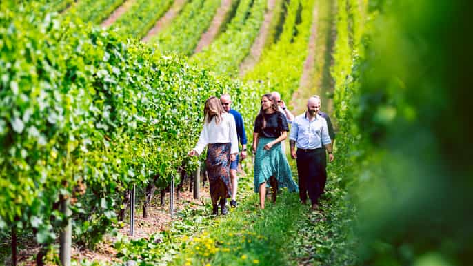 drink tasmania signature tour wine cider beer and whisky