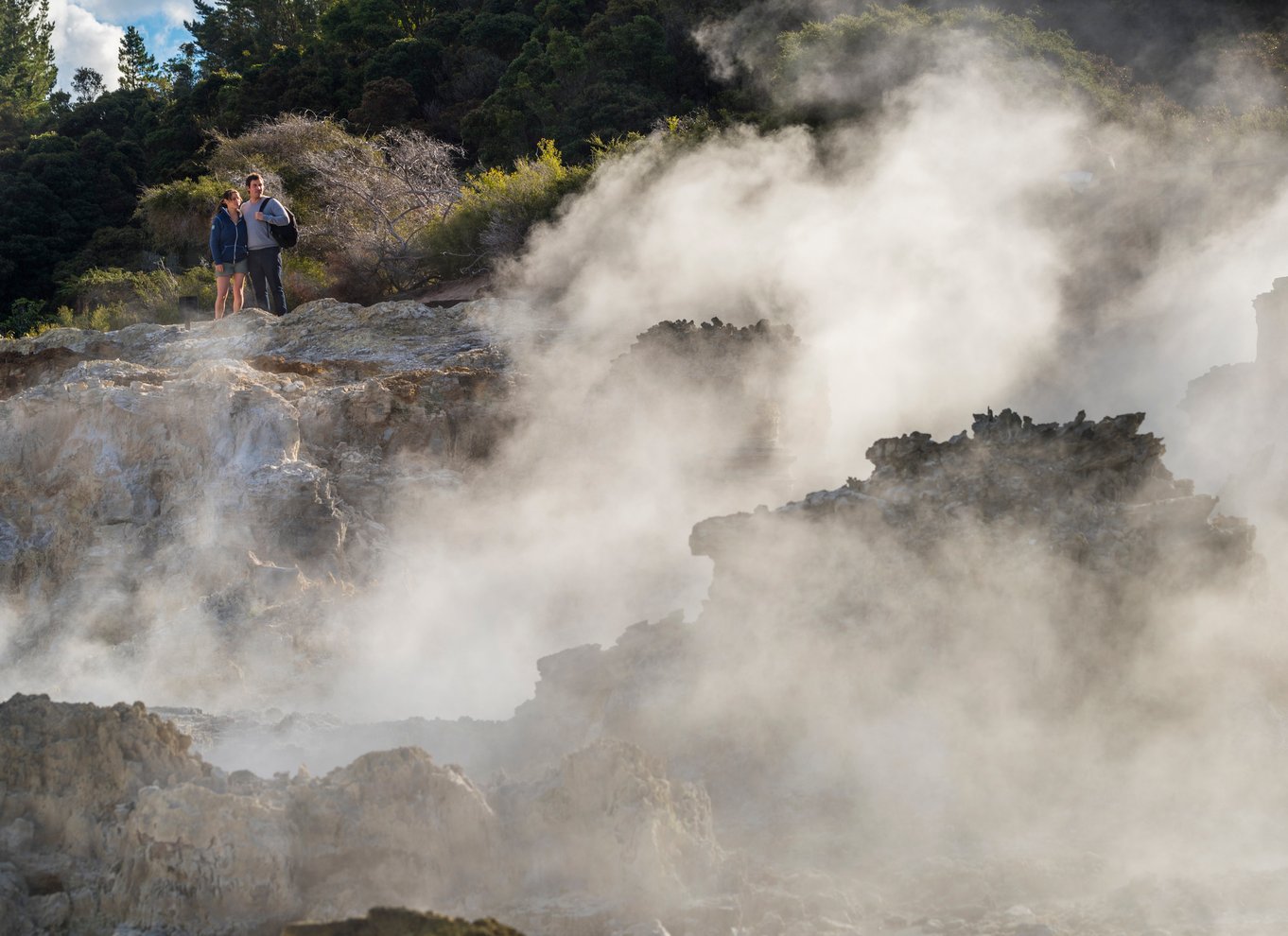 Rotorua: Hell's Gate Geothermal Walk, mudderbad og svovlspa