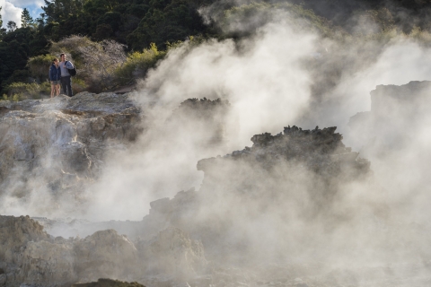 Rotorua: wandeling Hell's Gate, modderbad & zwavelspaGeothermische wandeling, modderbad en spa