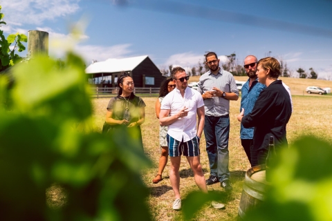 Hobart: Excursión de un día a lo mejor del vino de Tasmania con Drink Tasmania