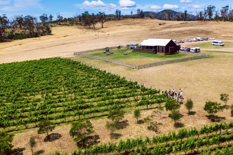 Hobart : Visite d'une journée des meilleurs vins de Tasmanie avec Drink TasmaniaHobart : Le meilleur des vins de Tasmanie - Excursion d'une journée avec Drink Tasmania