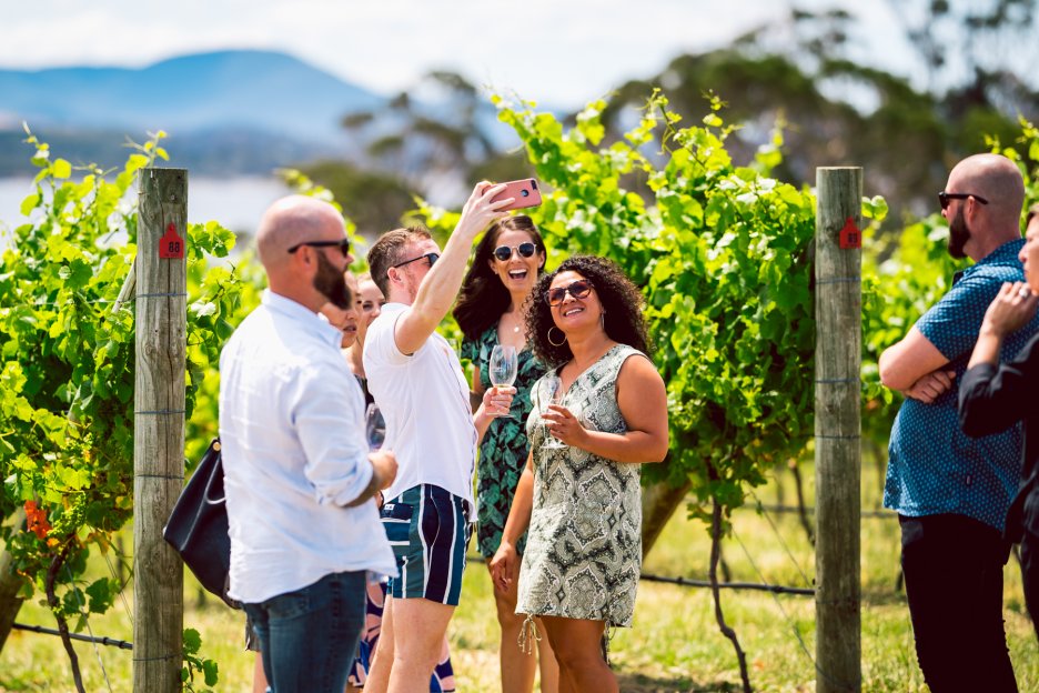 Hobart: Top Tasmanian Wineries Day Tour with Tastings