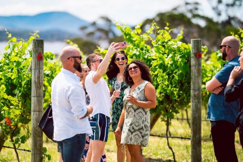 Hobart: Best of Tasmanian Wine Day Tour with Drink Tasmania