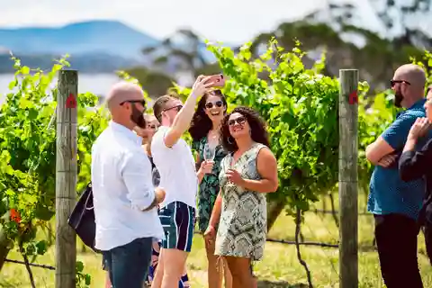 Hobart : Excursion d'une journée dans les meilleurs vignobles de Tasmanie avec dégustations