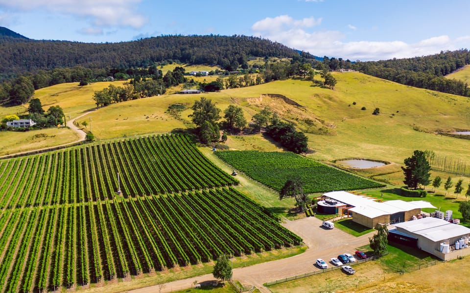 Hobart Top Tasmanian Wineries Day Tour with Tastings GetYourGuide