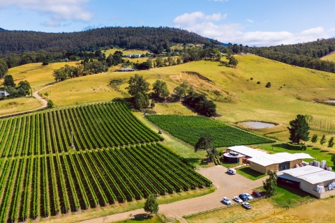 Hobart: Best of Tasmanian Wine Day Tour mit Drink Tasmania