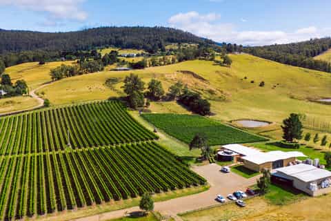 Hobart: Best of Tasmanian Wine Day Tour