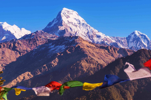 Excursión económica de 4 días a Poon Hill desde Pokhara