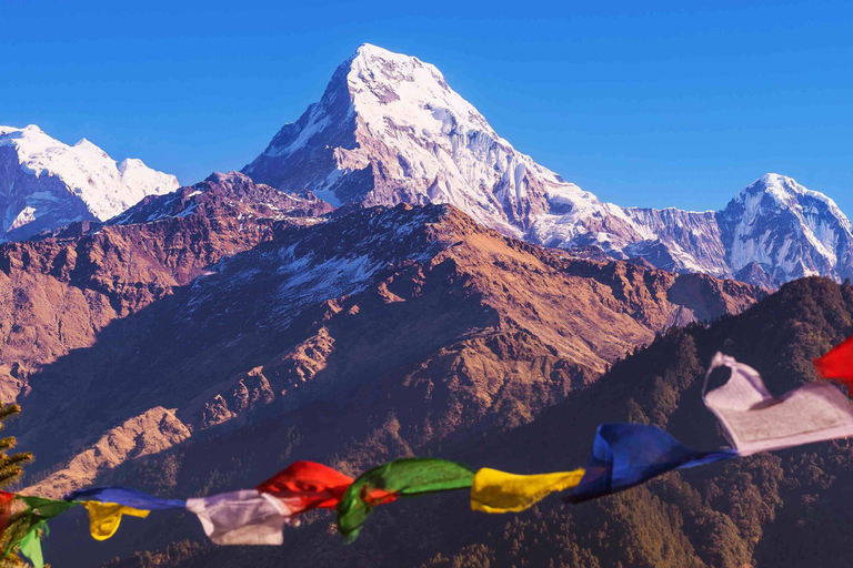 4 Daagse Budget Poon Hill Trek vanuit Pokhara