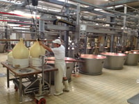 Parma, Parmigiano-Reggiano Käsetour - Hizvo