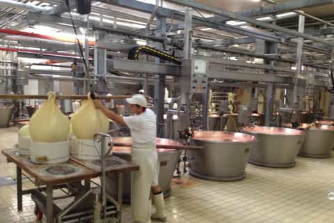 Parma: Parmigiano-Reggiano Cheese Tour