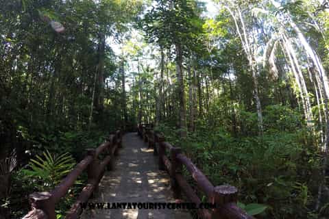 Ko Lanta: Emerald Pool and Hot Springs Day Trip