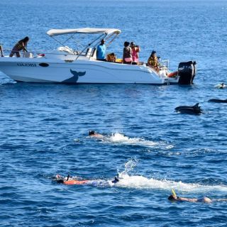 Mauritius: Dolphin Encounter, Trou aux Cerf ja Grand Bassin