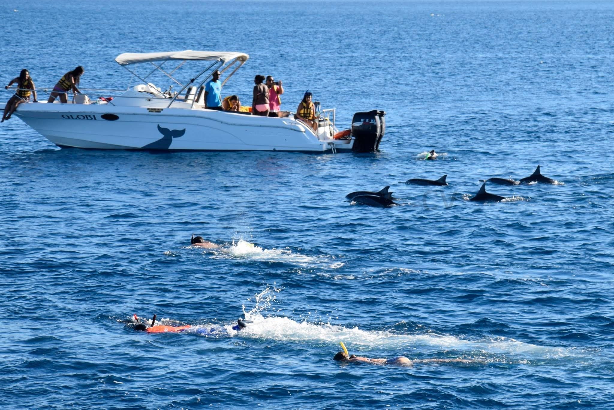 Mauritius: Delfin-Begegnung, Trou aux Cerf und Grand Bassin