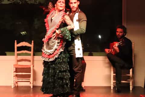 seville flamenco show and andalusian gastronomy experience