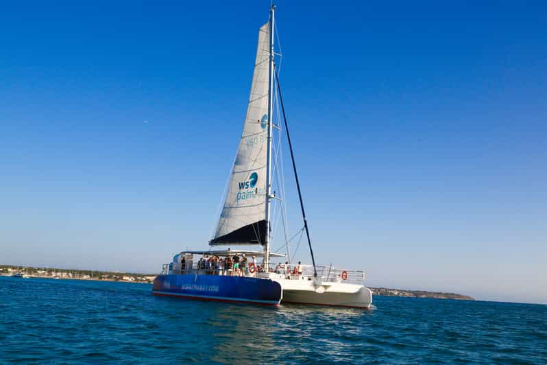 palma bay catamaran cruise