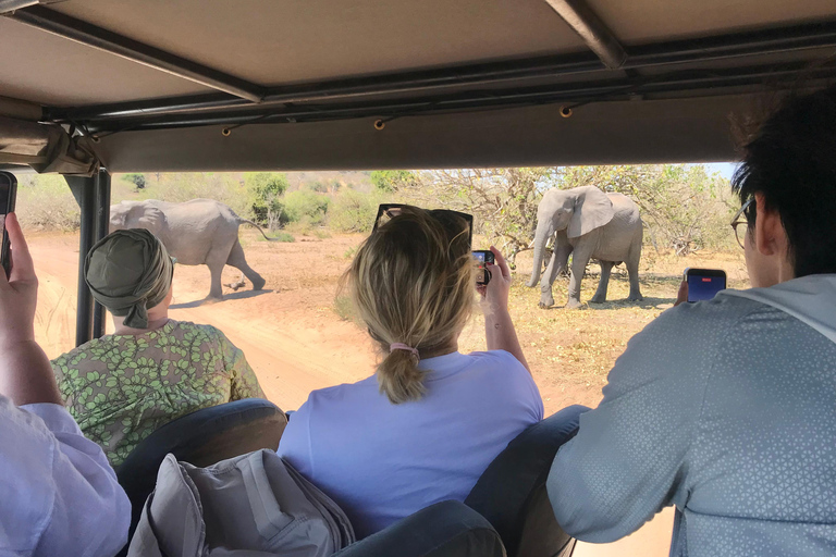 From Livingstone: Chobe Half-Day Game Drive Safari