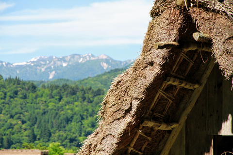 From Kanazawa: Shirakawago, Hida-Furukawa and Takayama Visit