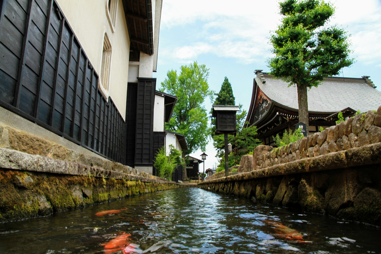 Från Kanazawa: Shirakawago, Hida-Furukawa och Takayama Besök