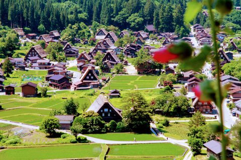 From Kanazawa: Shirakawago, Hida-Furukawa and Takayama Visit