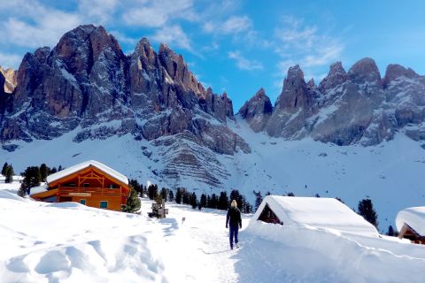 Bolzano: Winterwandeling & sleeën in de Dolomieten