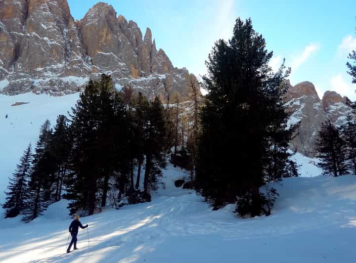Dolomites Snowshoe Tour Private Excursion near Bolzano GetYourGuide