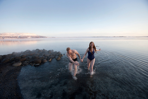 Från Reykjavik: Norrsken och geotermiska bad