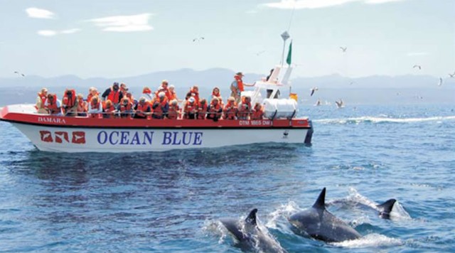 Visit Plettenberg Bay Dolphin & Marine Tours in Plettenberg Bay, South Africa