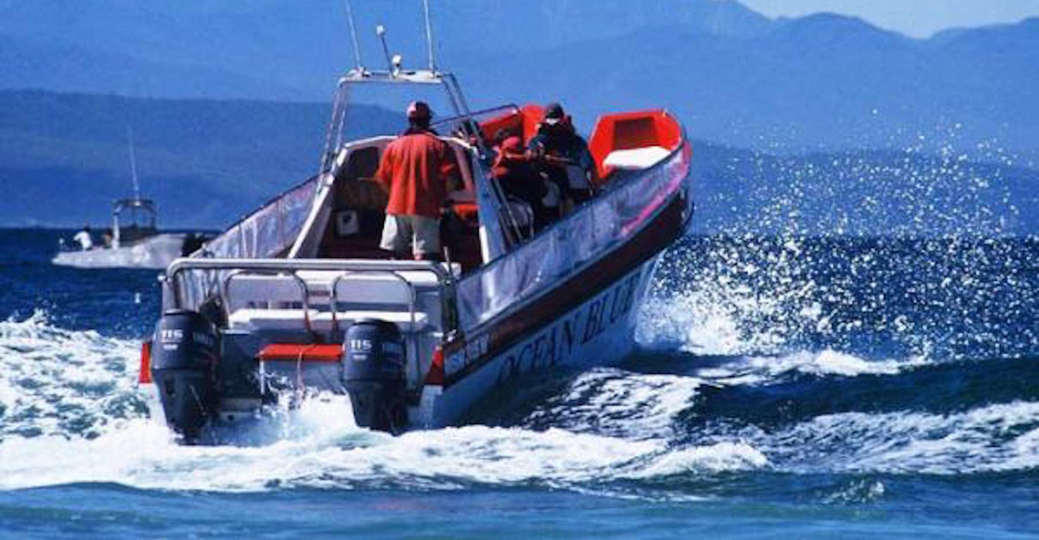 Pettenberg Bay, Dolphin & Marine Tours - Hizvo