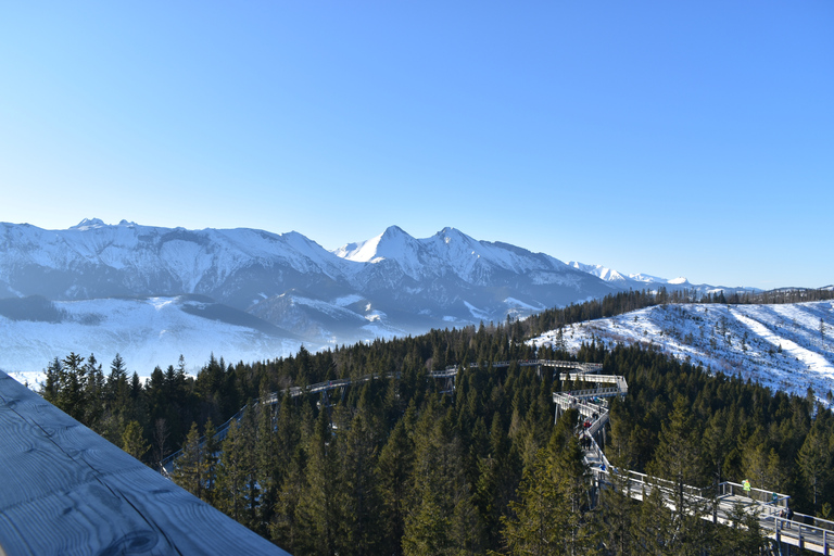 From Kraków: Slovakia Treetop Walk & 4-Hour Ski Pass Slovakia Treetop Walk & Ski Pass with Equipment & Instructor