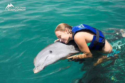 Aventure de nage avec les dauphins à Punta Cana : 40 minutes d&#039;expérience avec les dauphins