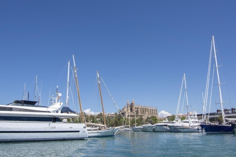 Palma de Mallorca: 1-stündige Besichtigungstour mit dem BootAb Av. de Gabriel Roca: 1-stündige Sightseeing-Bootsfahrt