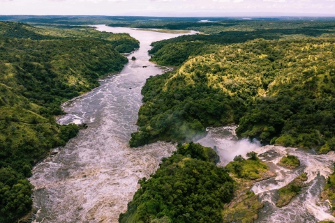 Kampala: safari de 2 jours au parc national de Murchison Falls