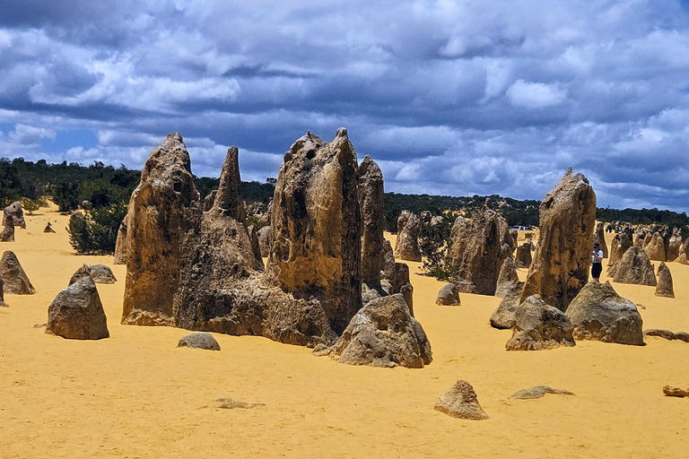 Perth: Pinnacles Desert &amp; Sand Dunes Private Day Tour