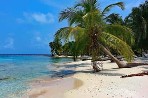 Panama City: Contadora Island Day Trip with Lunch