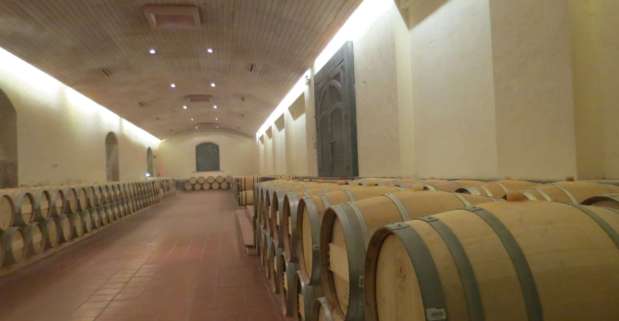 From Santiago, Concha y Toro Winery Tour with Transfer - Housity