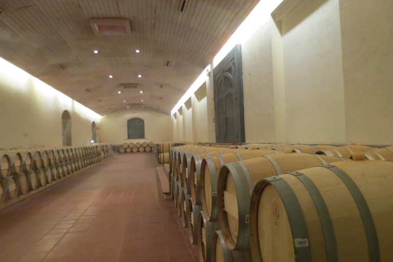 Au départ de Santiago : Visite de l'établissement viticole Concha y Toro avec transfert
