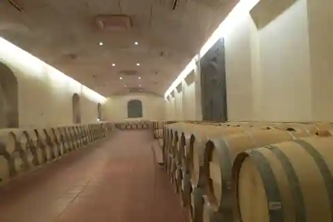 Excursão ao Centro de Vino Concha y Toro