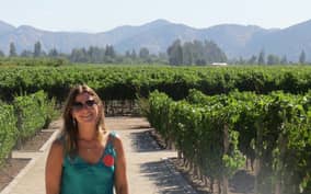 From Santiago: Concha y Toro Winery Tour with Transfer