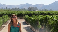 De Santiago, Concha Y Toro Winery Tour avec transfert - Housity