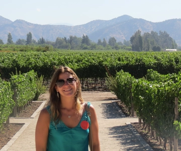 From Santiago: Concha y Toro Winery Tour with Transfer