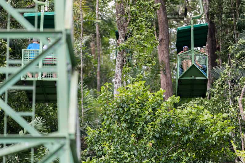 Panama by Gamboa Rainforest Resort Aerial Tram Tour GetYourGuide