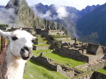 Ab Cusco: 2-Tages-Tour nach Machu Picchu mit Touristenzug Ab Cusco: 2-Tages-Tour nach Machu Picchu mit Touristenzug