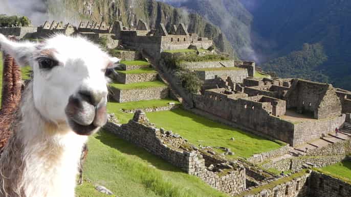 cusco viagem de trem turístico a machu picchu por 2 dias