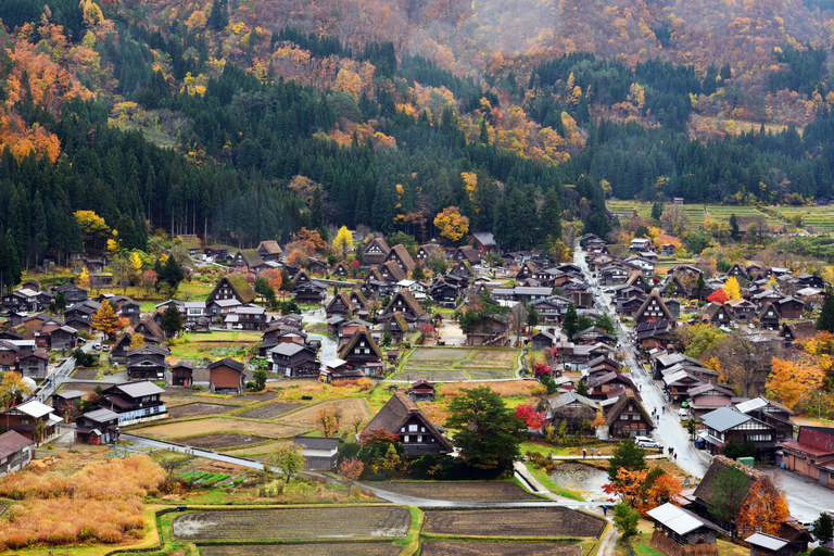 Visite en bus nostalgique de Shirakawa-go AM