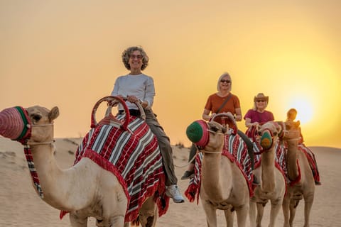 Dubai: Evening Camel Trekking & Dinner at Al Marmoom Oasis